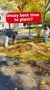 Fall season ang best time to plant flowering bulbs and seeds #flowers #fallseason #usa #AFAM #fbreelsvideo #fbreelsfypシ゚viralfbreelsfypシ゚viral #bisayangdako #TeamHilas | Evelyn Haltom