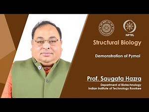 Demonstration of Pymol