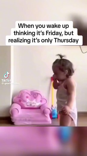 basshound99 on TikTok