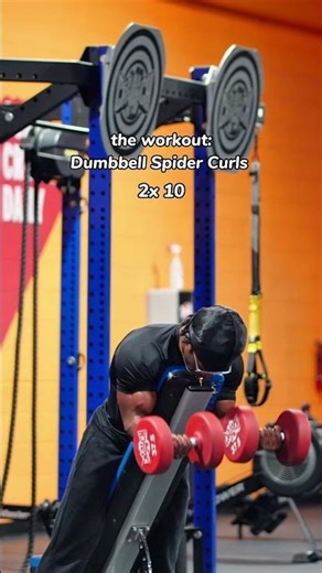 How to grow your biceps with dumbbells