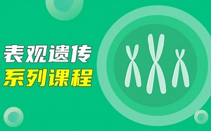 第五章 m6A甲基化研究兴起—— 一项完美填补表观研究空白的技术