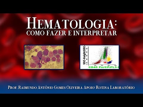 Como Interpretar o Hemograma: fundamentos básicos