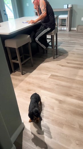 #fy #fyp #foryou #foryour #foryoupage #foryourpage #fypage #married #tiktok #friends #family #wife #like #love #beer #harleydavidson #music #marriage #lol #trend #trending #laugh #funny #video #viral #viralvideo