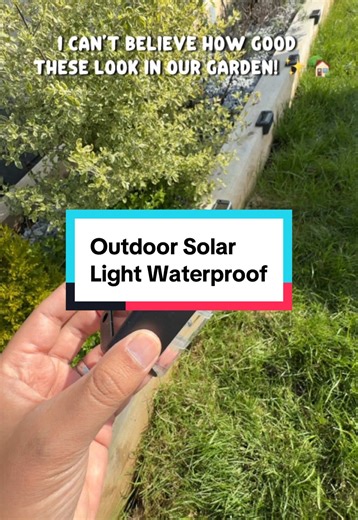 Cosy Garden with Affordable Solar Lights