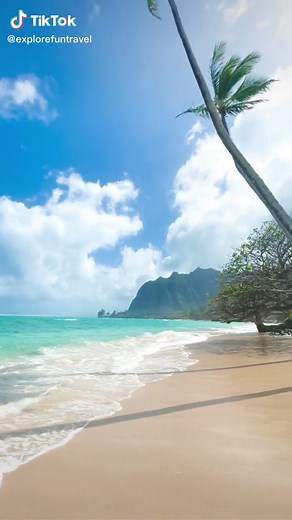 Experience the Beauty of Hawaii at Kaaawa Beach