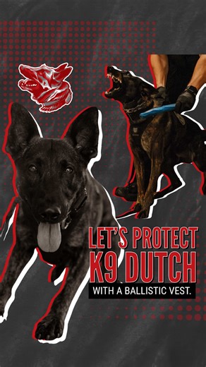 Meet K9 Dutch 🐺 A 3-year-old Dutch Shepherd certified in patrol and electronic storage device (ESD) detection, serving with Beaverton PD in Oregon. Dutch deploys on patrol and responds alongside SWAT. Right now, he does it without a ballistic vest, heading into real-world calls without the added protection he deserves. He’s the last K9 in his department still waiting on a vest. Your support can help him step into every shift safer. ☞ A K9 Storm Inc ballistic vest is $3,500 – built for lifesavin