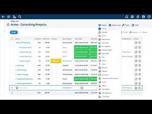 Project Insight: More project data visualizations than any other PPM software.