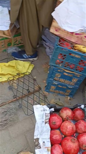 Anar qandhar phalo ka sultan sirf hamarey pas milaga #UrduHealth #dailyhealth #weightlossfruit #healthyfruit | Ikram Akhunkhail