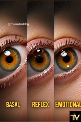 When You Cry Your Body Does This #HumanBody #FactShorts #PsychologyFacts