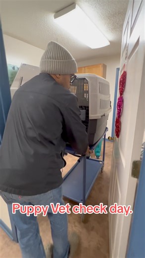 Throwback to the Pups first Vet Visit. ❤️#iamlarrybjr | Larry Brown Jr.