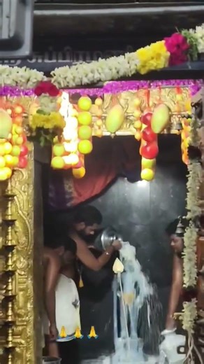 பழனி ஆண்டவர்க்கு பால் அபிஷேகம் 🙏#murugan#muruganthunai#shortsfeed#shortvideo#tamil#arulvakku#kanthan