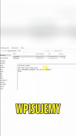 Serwer Minecraft: No GUI, Pause i Rozwiązywanie Błędów! #shorts