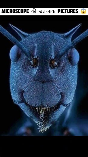 How Different Things Look Like Under A Microscope 😱 | Things In Microscope | #shorts