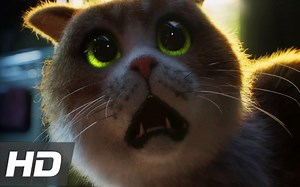 喵星人最恐惧什么东西？动画短片：Scaredy Cat_哔哩哔哩_bilibili