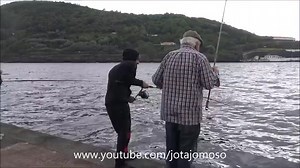 #191 Chub mackerel reel fishing. Full video https://www.youtube.com/watch?v=P8WxgFXIXjI | Sousa Jose