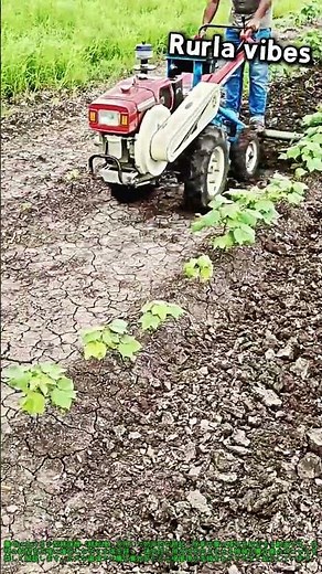 小型耕運機で農地の畝間を効率的に耕起する方法：驚きの歩行型トラクター操縦技術 #worker #process #powertiller #farming #agriculture