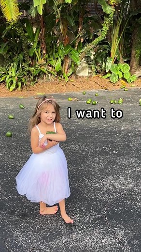 106K views · 4.1K reactions | Here’s a little info about the Florida Avocado, which doesn’t get much love at the grocery stores, but totally should! And if you are new here,  hi I’m Michelle, I’m a mom of 4 and we have 70 fruit trees and counting! I make guacamole super simple, letting the avocado shine with a little salt, pepper, and lime to taste.- #littlefarm #avocado #lifewithkids #guacamole #fruittrees | 7 Days of Play | Facebook