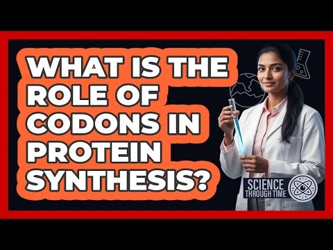 What Is the Role of Codons in Protein Synthesis?