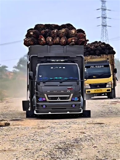 Modifikasi Truk: Gaya Jambi vs. Jawa yang Beda