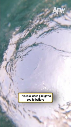 This is a video you gotta see to believe