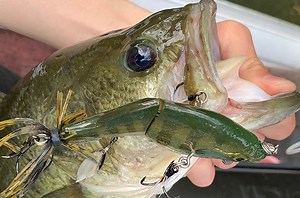 【ジョイントゾーイ】を徹底分析。リアルフォルムと“i字引き”が魚を引っぱる。これがベストな使い方です！ | TSURI HACK[釣りハック]