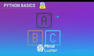 Mind Luster - Learn 10 Variables in Programming Understanding Their Role and Importance