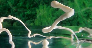 Alien Landscapes Created Inside a Fish Bowl