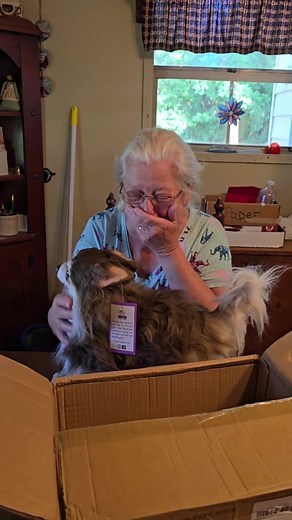 Cuddle Clones: Coping with Pet Loss and Grief