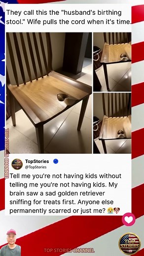 Weird Old Chair or Dog Nose?