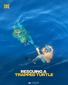 1.7M views · 81K reactions | True heroes in action  | Comedy JOE | Facebook