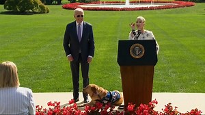 4.3K views · 225 reactions | Selma Blair and her service dog, Scout, visited the White House to celebrate the American Disability Act. | USA TODAY | Facebook