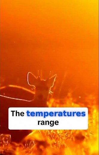 Kruger National Park: Why the Dry Season is Best for Wildlife Viewing