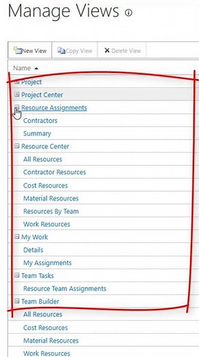 How to create and edit a custom view in MS Project Server? #oberemokii #microsoftproject