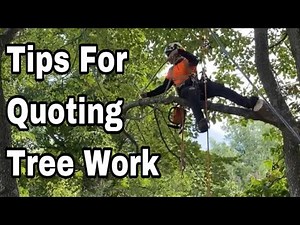 Tips For Quoting Tree Removal & Tree Work Jobs | THINGS YOU NEED TO CONSIDER
