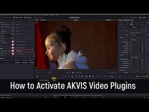 How to Activate AKVIS Video Plugins