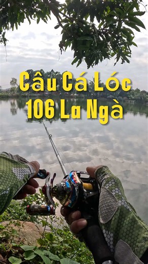 Câu cá lóc ở 106 La Ngà #lurefishing #caulure #caulurrecaloc #caucaloc #caucagiaitri🎣
