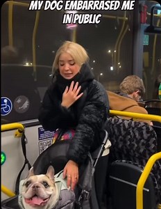 Can dogs actually talk? These dogs can! They can say words like “Hello, outside, hi, I love you and noooo!” 😂🐶 | Tony Dulgeroff