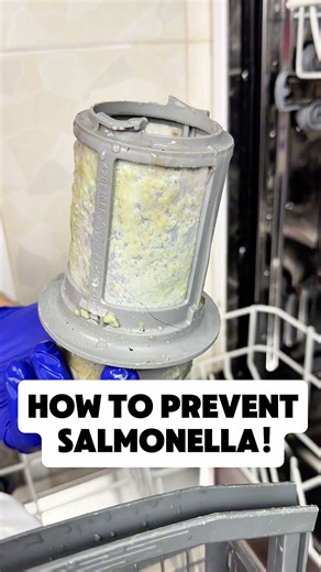 you've been cleaning your dishwasher wrong! this video was produced by Alex P! | Crafts Hacks and Laughs