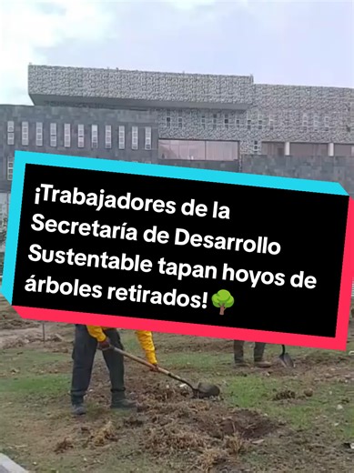 Restauración del Terreno en el CIS de Puebla