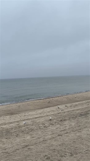 Sarbinowo 13.12.2025 promenada #sarbinowo #morze #wakacje #viral