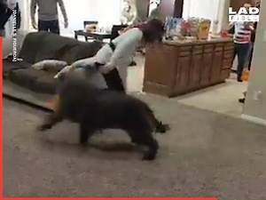 Last one with a balloon still stuck to them wins... Now THIS is a party game 😂👏 facebook.com/AdventurousFigs | LADbible