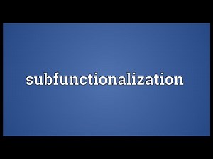 Subfunctionalization Meaning
