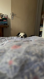 Quand tu prends ton petit déjeuner… | Axelle Trefle