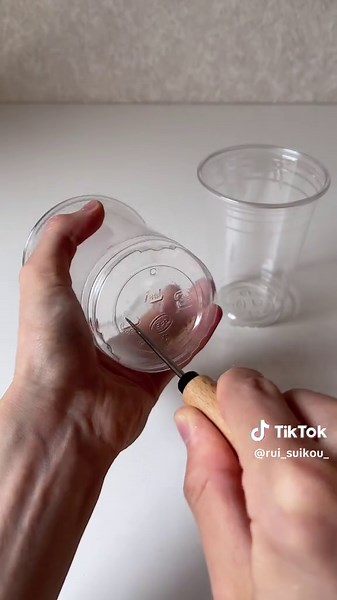 カップで育てる家庭菜園レタスの育成方法