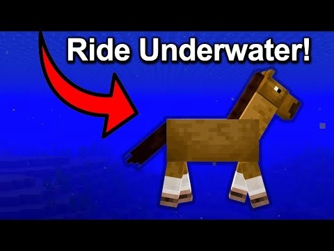 How to Ride a horse UNDERWATER in Minecraft 1.21 (...kind of)