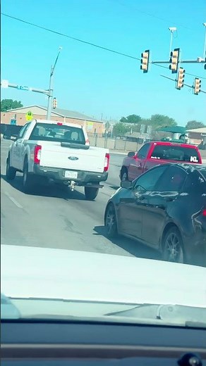 Rooster Spotted Using the Crosswalk in San Antonio, Texas || ViralHog