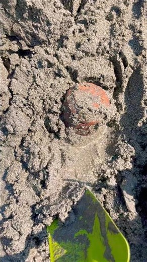 😱 What I Found After Digging the Beach Shocked Everyone