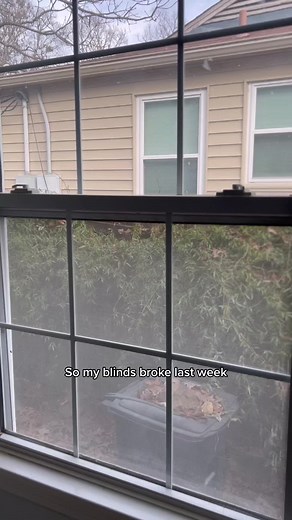 Rabbitgoo Window Film: The Perfect Accessory for Introverts