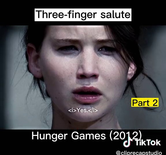 The Hunger Games 2012 Volunteer Scene Explanation