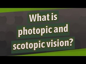 What is photopic and scotopic vision?